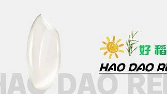 品牌创业第一件事情就是先做品牌策划，定位项目所有环节和投资计划方案，以免项目失措造成投资风险！#餐饮