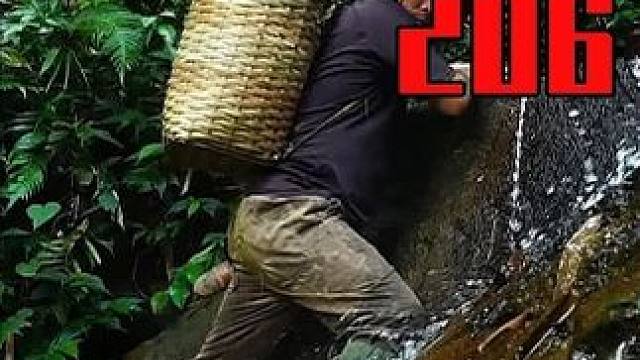 在热带雨林中独自生存挑战 EP.206-倾盆大雨&竹篮编织