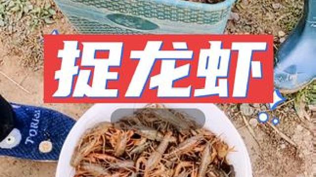 回村后的第一天和老爸去取小龙虾，没有想到有这么多#乡村生活记录视频 #回村过年 #记录农村 #我的田