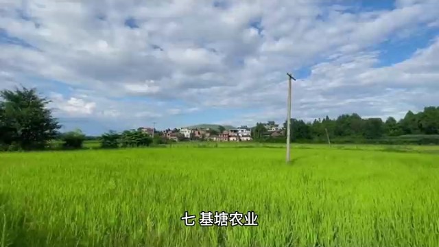 十八种农业类型，你想了解的都在这里（下）