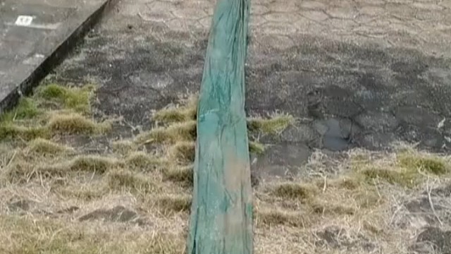 比去年好一点[笑cry]