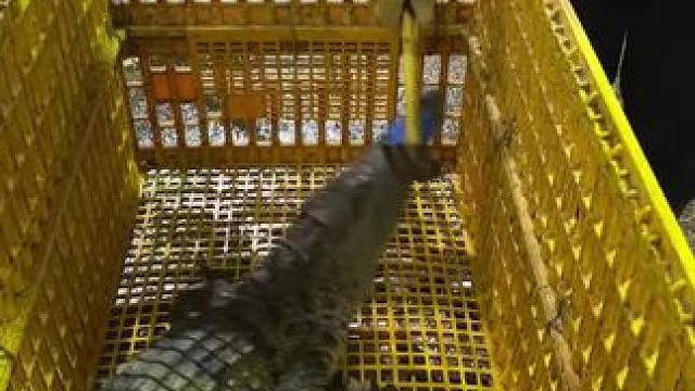 我发布了一个新视频，快来围观吧！