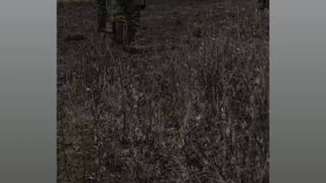 我发布了一个新视频，快来围观吧！