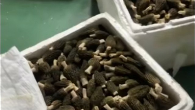 我发布了一个新视频，快来围观吧！