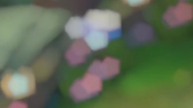 寡妇满血怕了残血的诺克