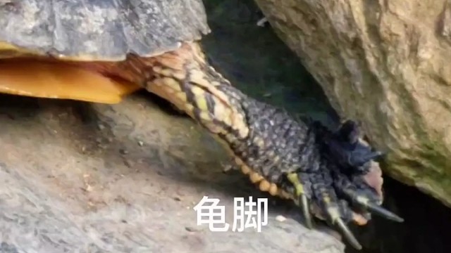 众爱卿为何一言不发？