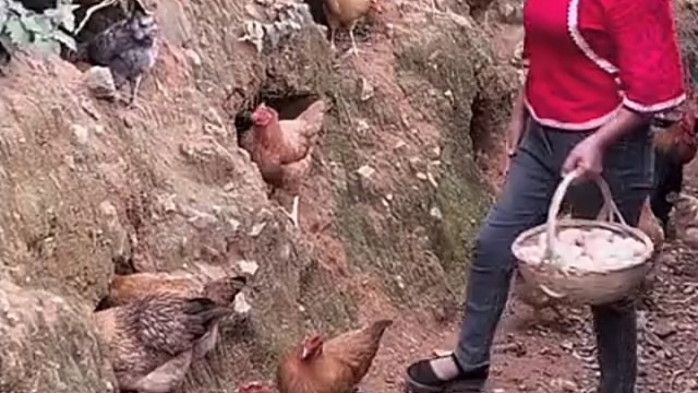 挺有创意的[呆住][赞]