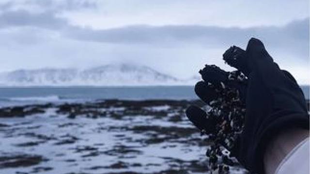 真实的世界远比导演创造的精彩
#冰岛 #清华 #国际义工 #旅行大玩家