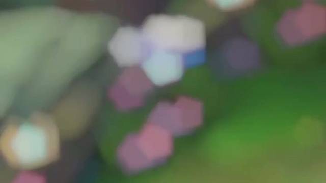 寡妇满血怕了残血的诺克