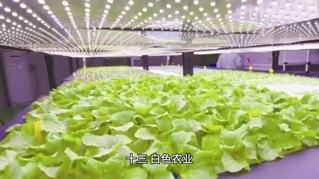 十八种农业类型，你想了解的都在这里（下）