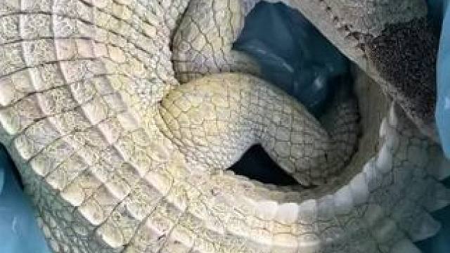 我发布了一个新视频，快来围观吧！