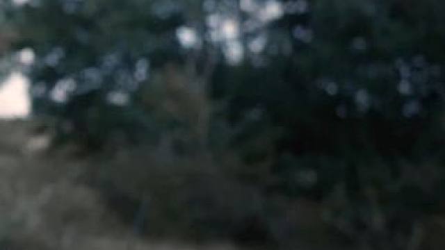 公主被俘，大帝举国之力赎人！