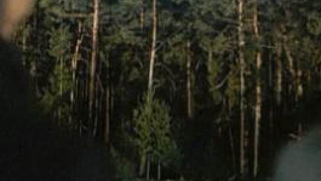 全球超250万人推荐，8.9分悬疑剧《暗黑》，烧穿你的脑细胞！#暗黑 #科幻