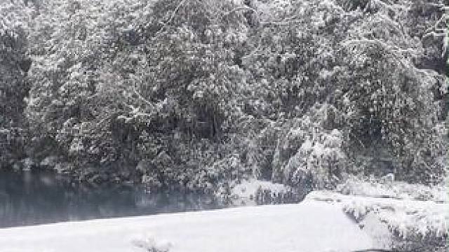 龙苍沟下雪了 春节你想带谁来？#成都过年好去处 #龙苍沟森林公园 #龙苍沟森林冰雪节 #瑞雪兆丰年好