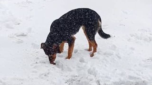 我发布了一个新视频，快来围观吧！