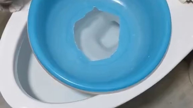 唉，别人家的猫只能羡慕