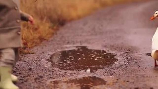 王国的小孩子好可爱，像故事里的小精灵一样！自由自在的童年才能造就出充满创意和灵感的人！#治愈系风景 