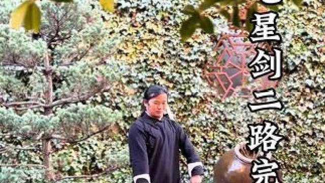 武当七星剑二路完整版赶紧收藏#武当功夫 #武当剑#武当七星剑