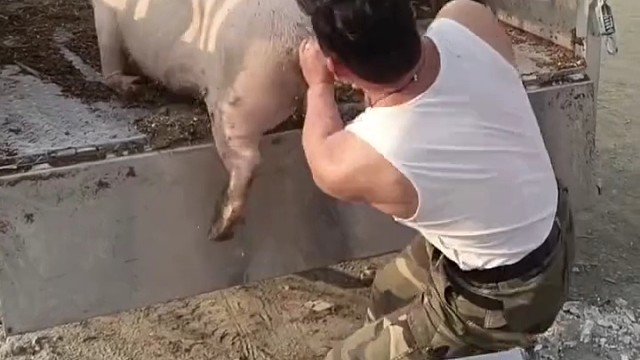 力气够大的，牛逼