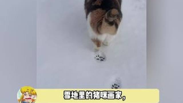 哈哈哈哈好清晰的小脚印，宝宝你是一只小猪咪