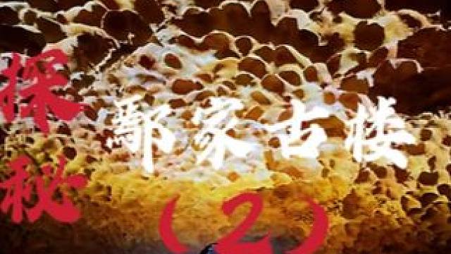 我发布了一个新视频，快来围观吧！