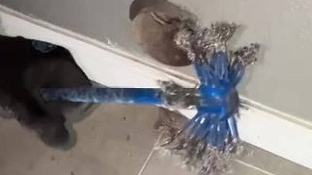 我发布了一个新视频，快来围观吧！