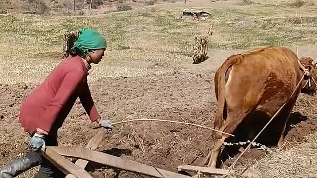 劳幼最光荣，开心有趣