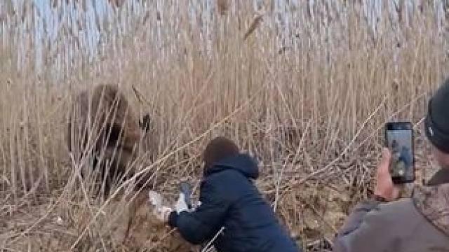 野生动物零距离~