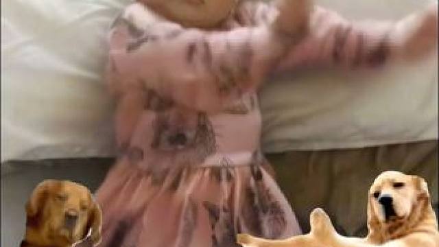 过年亲戚让我表演节目时 #和小金毛一起跳舞 #萌娃跳舞 #生个孩子就是为了玩的 #狗狗鼠鼠一起跳舞 