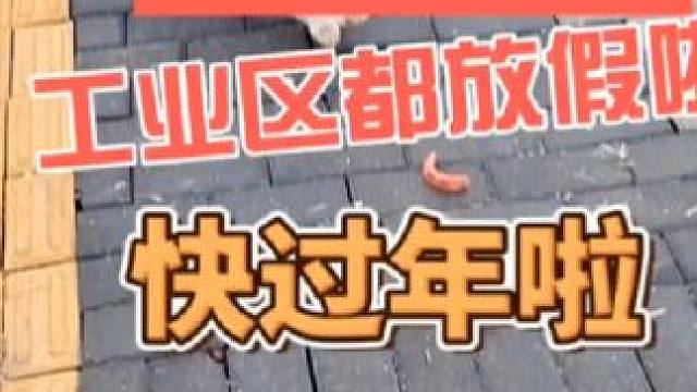 摆摊摆到过年#摆摊 #夜市里的烟火气 #创业 #日常vlog #记录摆摊生活