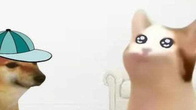 我会听爸爸的话的#cheems小剧场 #cheems