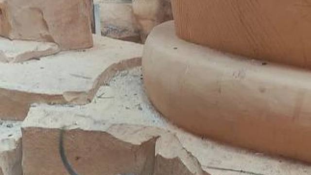 看猴#创跑露营 #猴 猴