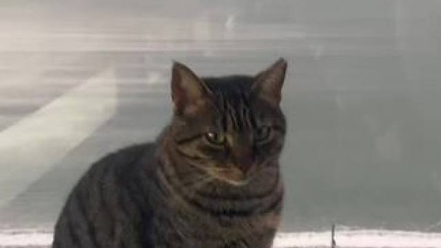 我发布了一个新视频，快来围观吧！