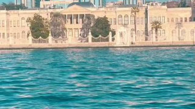 我发布了一个新视频，快来围观吧！