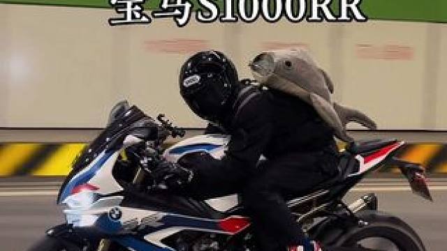 你的梦中情车是哪辆#机车