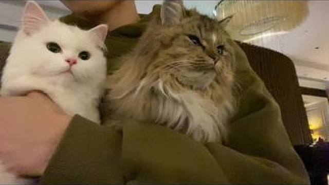 我发布了一个新视频，快来围观吧！