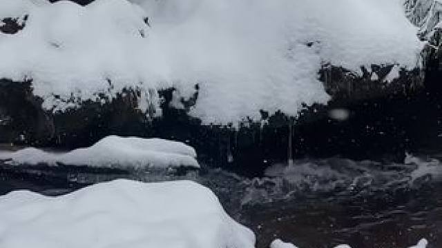 春节看雪预备了#一起堆雪人 #春节旅游攻略已到位 #春节反向旅行攻略 #龙苍沟森林公园 #龙苍沟森林