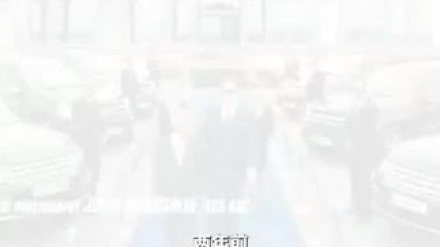 《杀手妻子的保镖》
保镖杀手骗子组队拯救世界