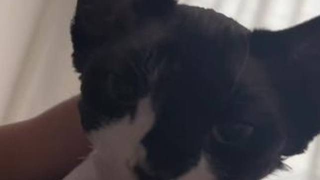 我发布了一个新视频，快来围观吧！