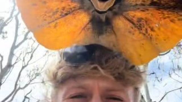 野生动物零距离~