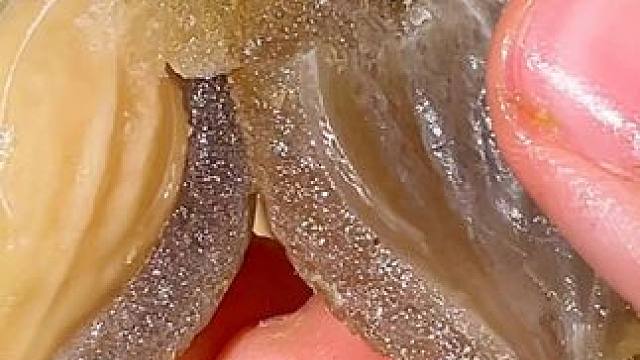 没想到甘草橄榄除了配茶还可以直接吃，口感脆爽，味道清甜，吃完嘴巴还会回甘#甘草橄榄#橄榄#零食推荐