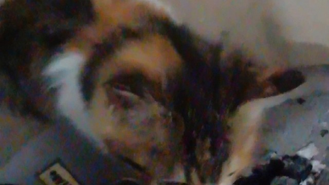 我有悠米挂身上