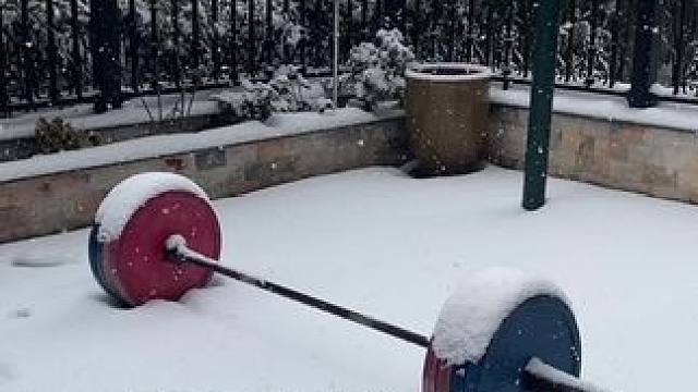 2006至今经历几次,这次比以往都猛烈,暴雪始终都会过去,可几多人抗住了,即便抗住了,也所剩无几,还