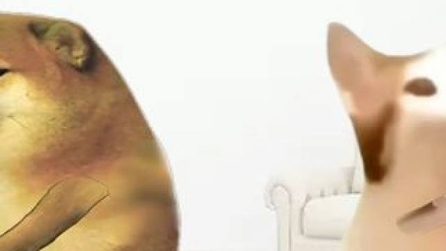 秒懂的尴尬瞬间#意想不到的结局 #cheems小剧场