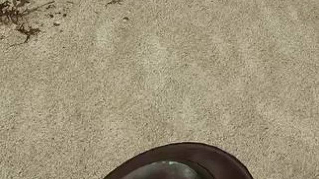 训练营天坑 #战地5 #战地1