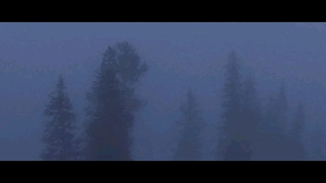 她说难过的眼睛像柏林的一场雾