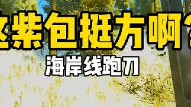 #逃离塔科夫 这紫包真方啊！海岸线跑刀