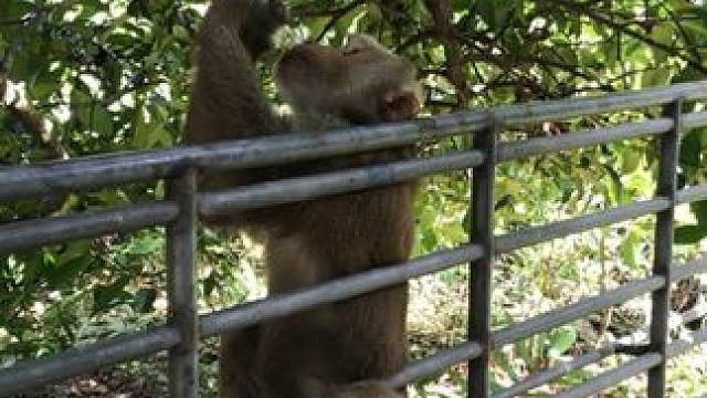 野生动物零距离~