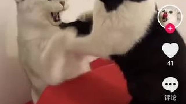 我发布了一个新视频，快来围观吧！