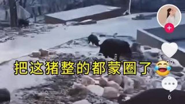 我发布了一个新视频，快来围观吧！